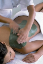 Программа SATOR-дренаж фото Программа SATOR-дренаж картинка